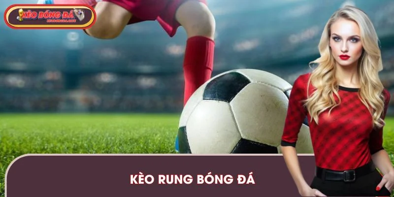 Kèo Rung Bóng Đá – Kinh Nghiệm Vào Kèo Live Dễ Thắng