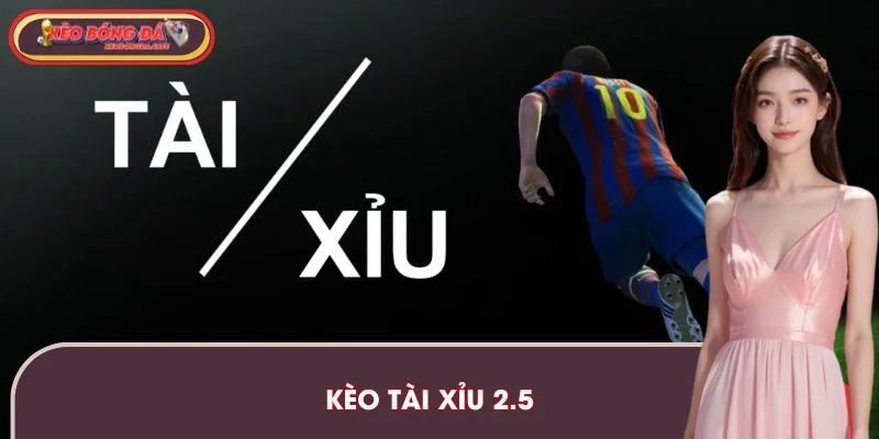 Kèo Tài Xỉu 2.5 – Hướng Dẫn Cách Chơi Và Soi Kèo Hiệu Quả