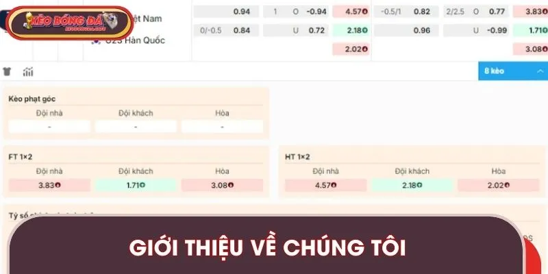 Đôi nét về chúng tôi